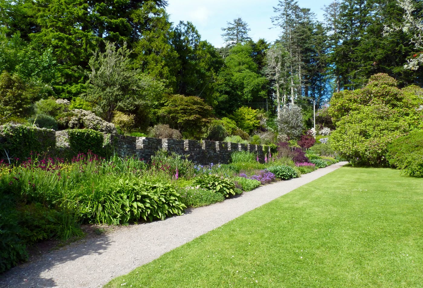 Le jardin terminé à Saint-Cyr-sur-Loire : allée en gravier le long d'un massif de vivaces fleuri, muret en pierres sèches et pelouse